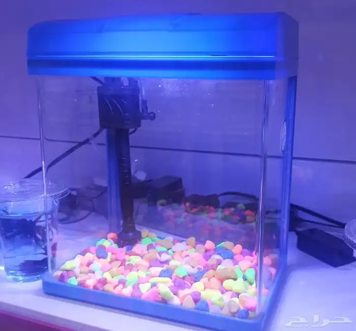 حوض سمك للبيع 0