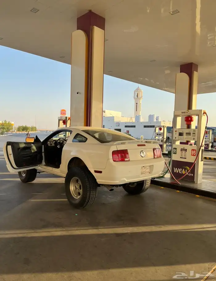 موستنق مرهم دبل 3