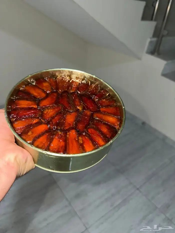 تمر صفري بيشه 2