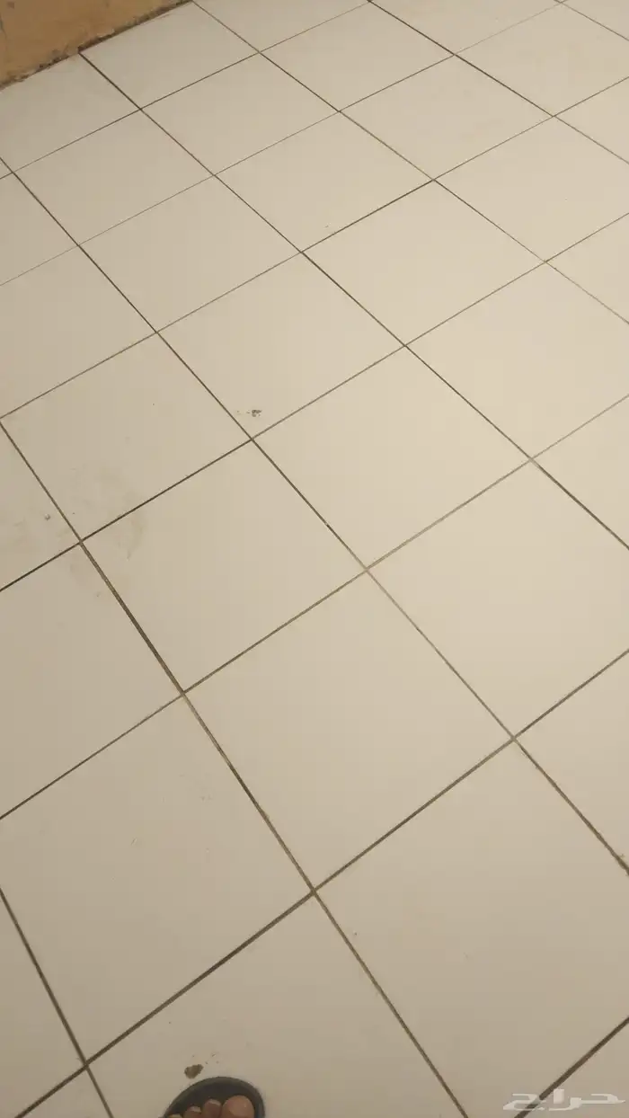 مقاول اجمل باكيستاني شغل بنح لياسح بلاط كولو سعير موناصيب 4