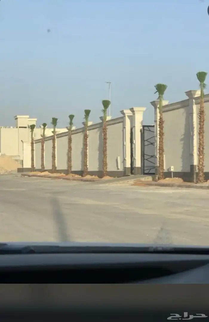 توريد نخيل وغرس 1