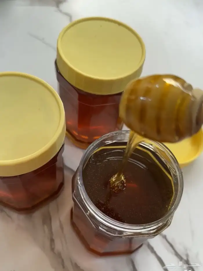 عسل سدر طبيعي 100 0