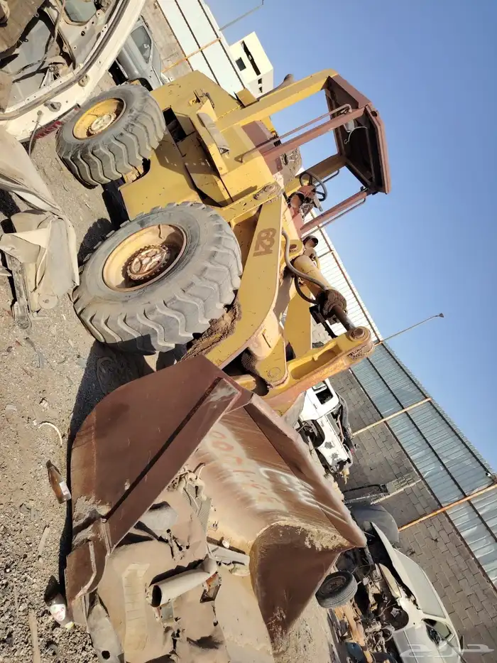 شيول مبيعات حكومية 0