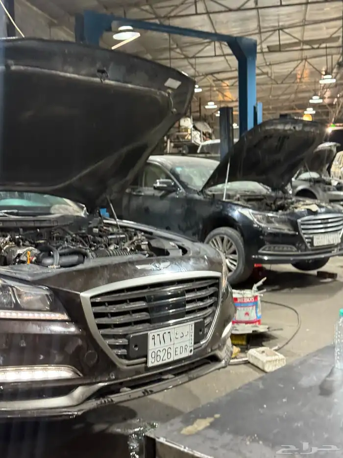 مكاين جنسس ضمان سنه 10