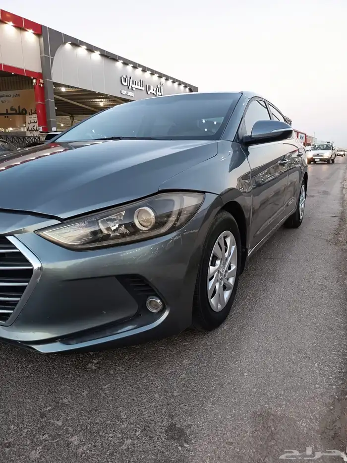 النتراء 2018 4