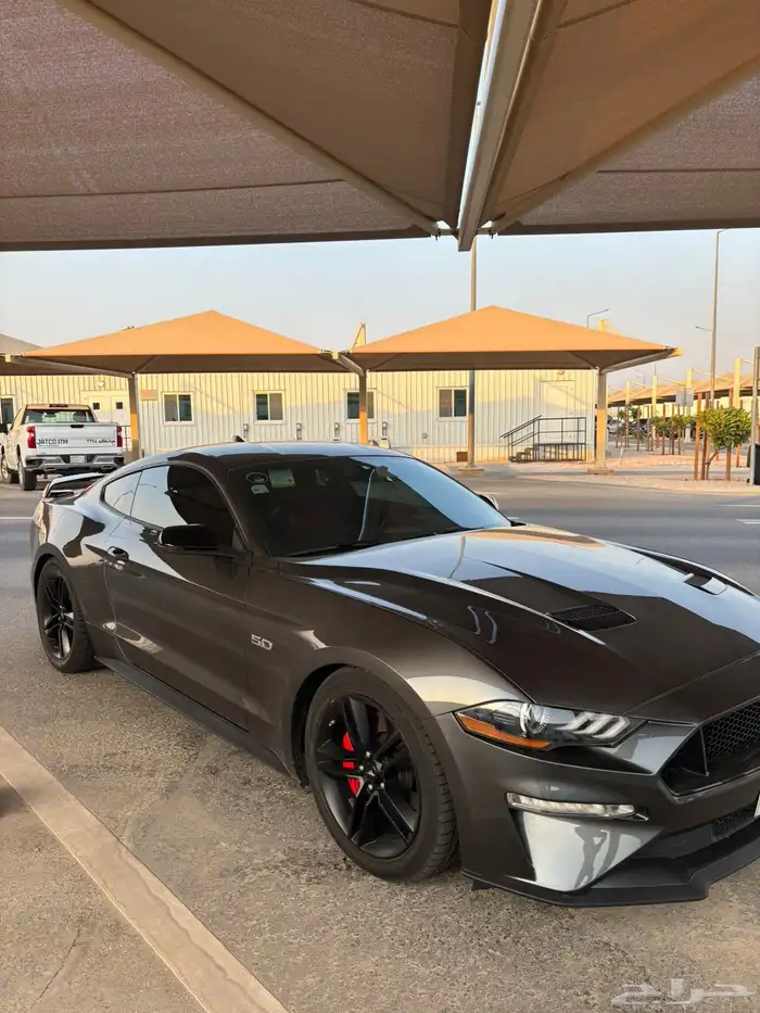 موستنق 2020 GT 2