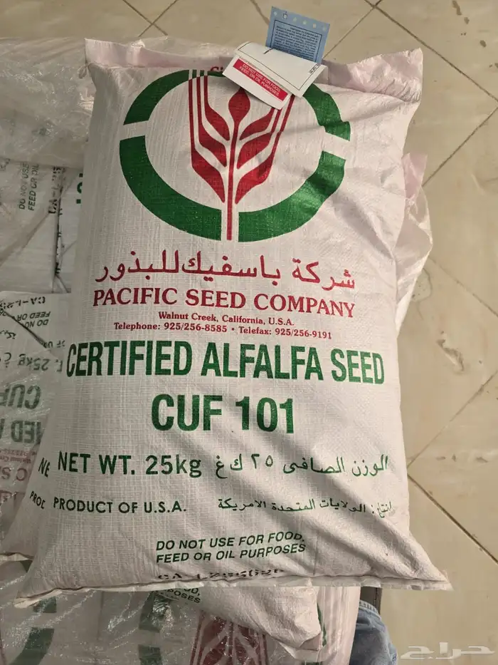 بذور برسيم باسفيك امريكي 0