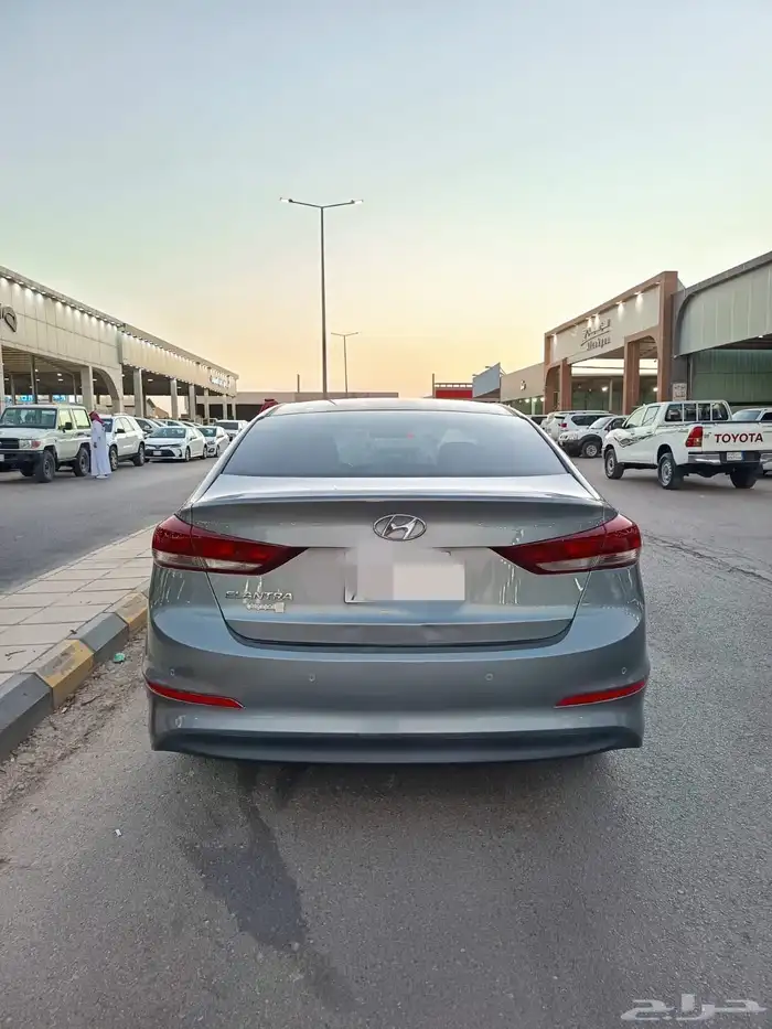 النتراء 2018 5