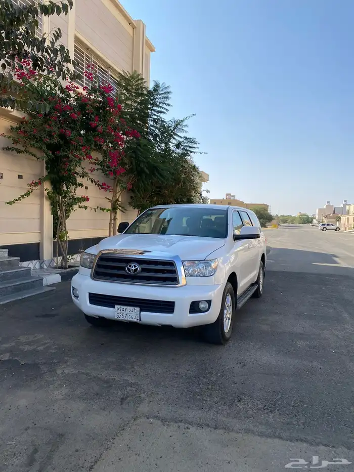 سكويا 15 دبل وكاله ممشا 288 الموقع ابها البيع كاش 4