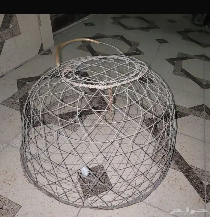 مطلوب قفص نفس الصوره 1