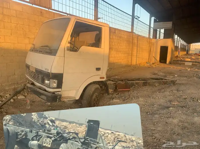 دينا واضحه في الصوره 0