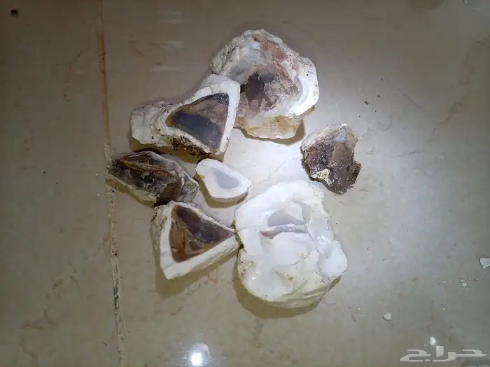 حجر كريم عقيق كالستودي 1