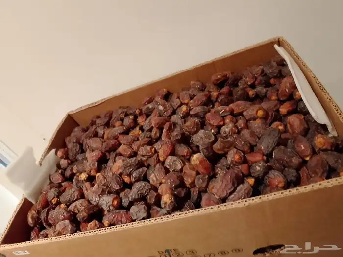 تمر مجدول درجة أولى 1