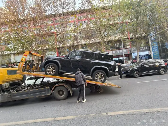 الاستيراد والتصدير 16