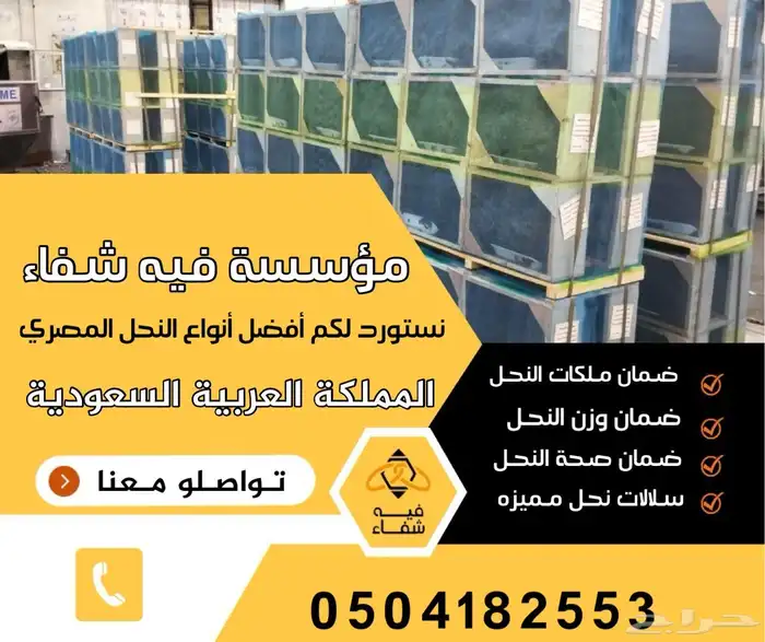 نحل مصري مرزوم 4