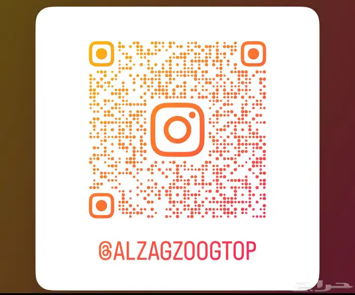 تشارجر 2020 بطاقة جمركية امريكيV6 (( مباع )) 3