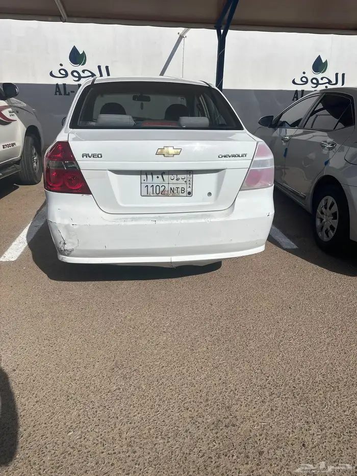 افيو شفر ليت 0