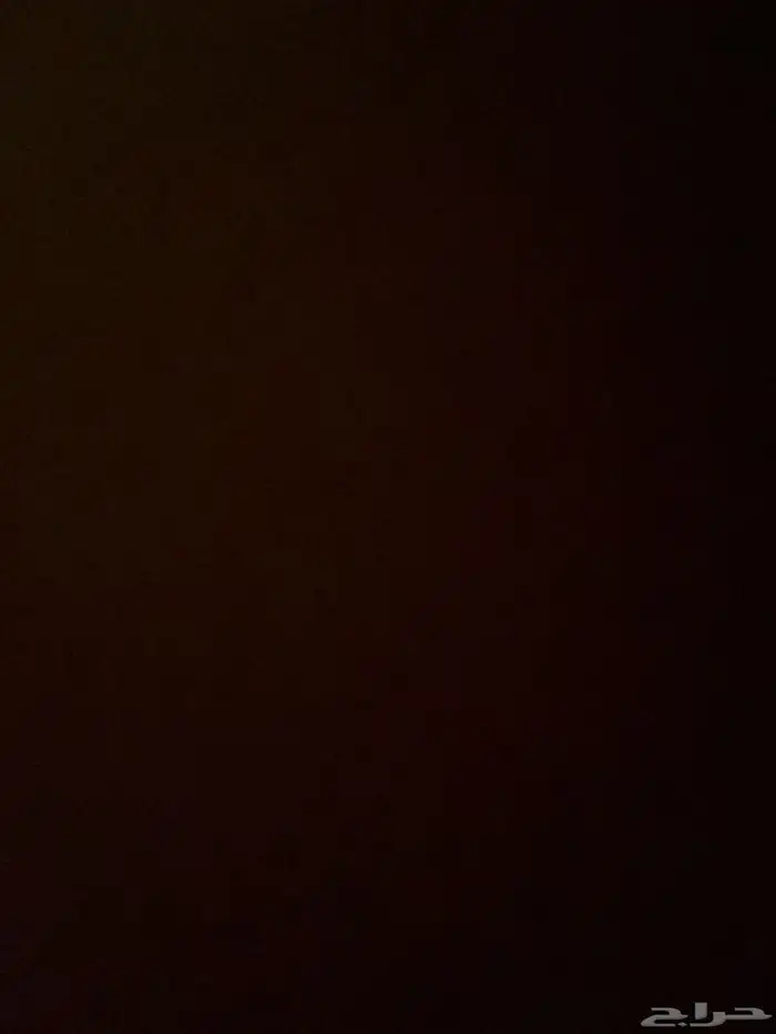 مطلوب انثى كنيور 0