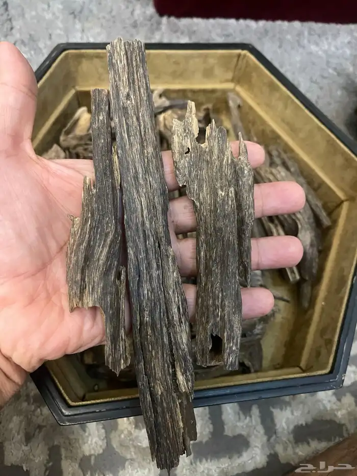 عود هندي وموروكي سوبر مرتفع ودبل وتربل طبيعي الاسعار طيبه 4
