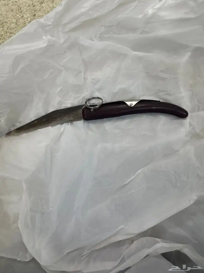 ردادي خوجه جيرمني قديم ونظيف الموقع بيشه 3