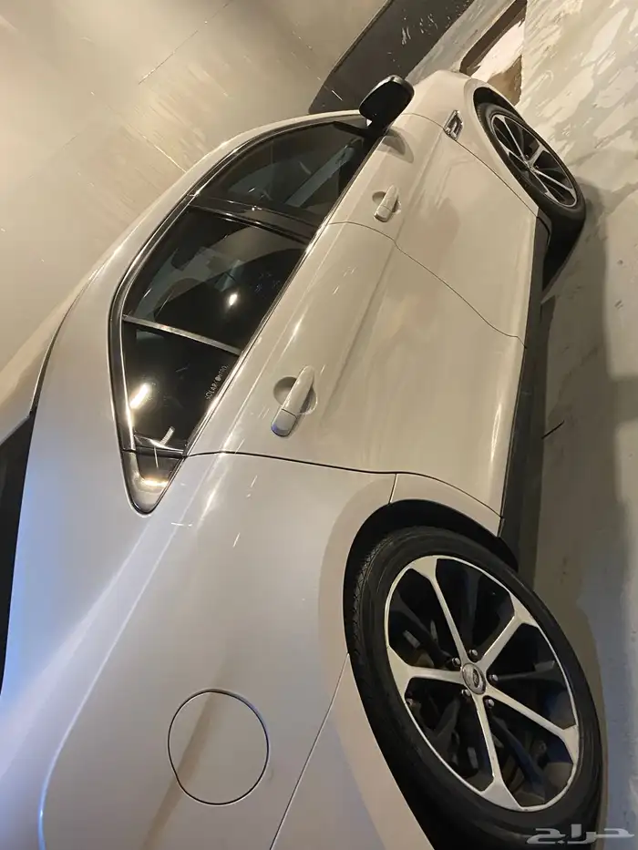 تورس للبيع 1