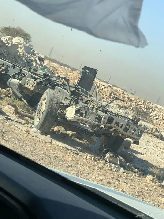 دينا واضحه في الصوره 2
