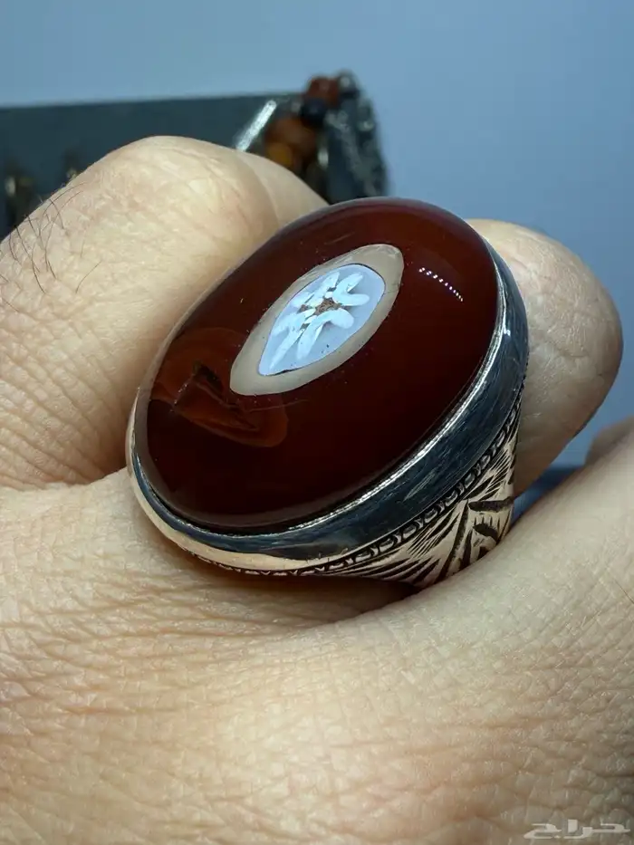 كبدي مزعفر مصور بصياغة عارف 0