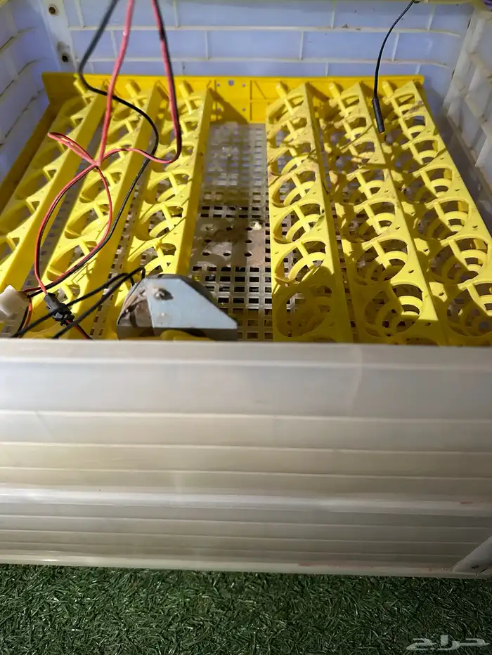 فقاصه سيصان دجاج تاخذ 96 بيضه 2