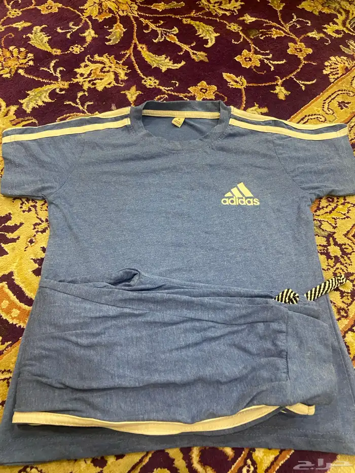 الاحساء 12