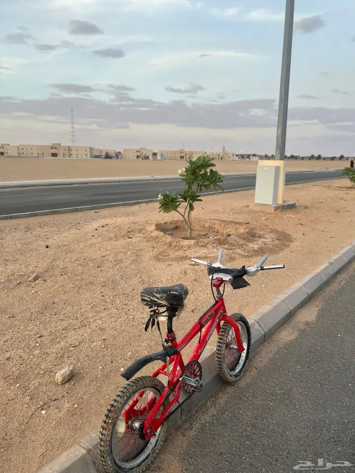 سيكل بدل سكوتر 2