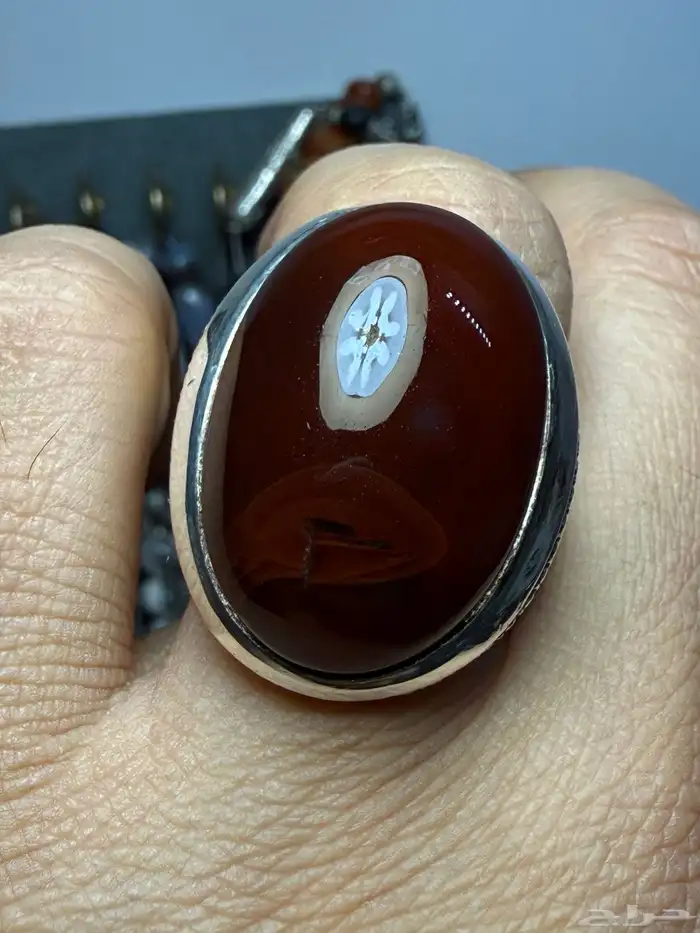 كبدي مزعفر مصور بصياغة عارف 4