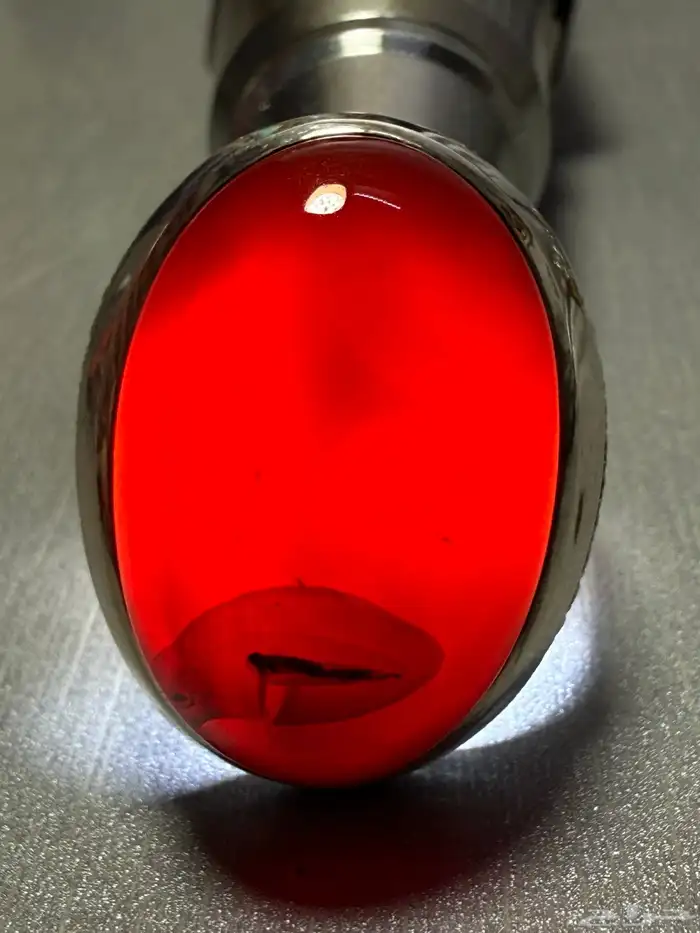 كبدي مزعفر مصور بصياغة عارف 7