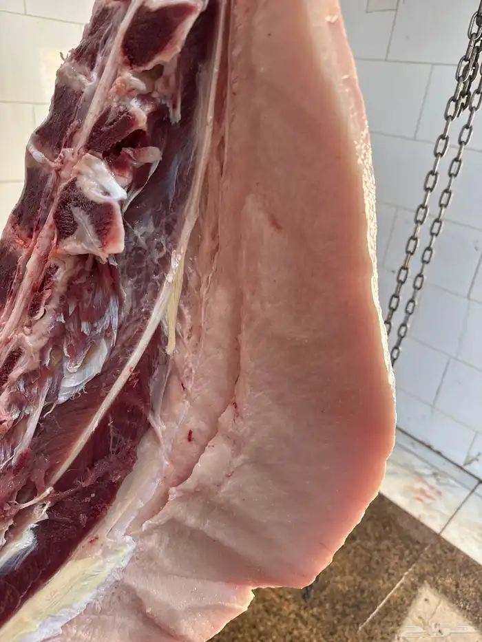 لباني شرط والطعم لذيذ وتحدي والسعر خيال 3