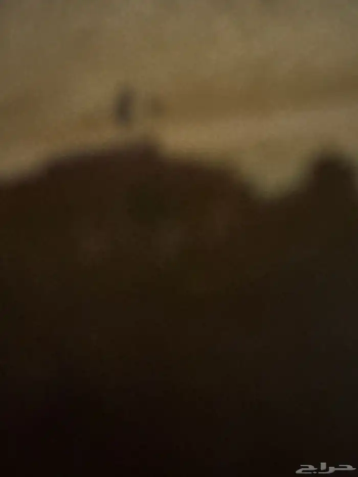 مطلوب شاهين 0