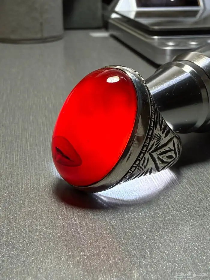 كبدي مزعفر مصور بصياغة عارف 5