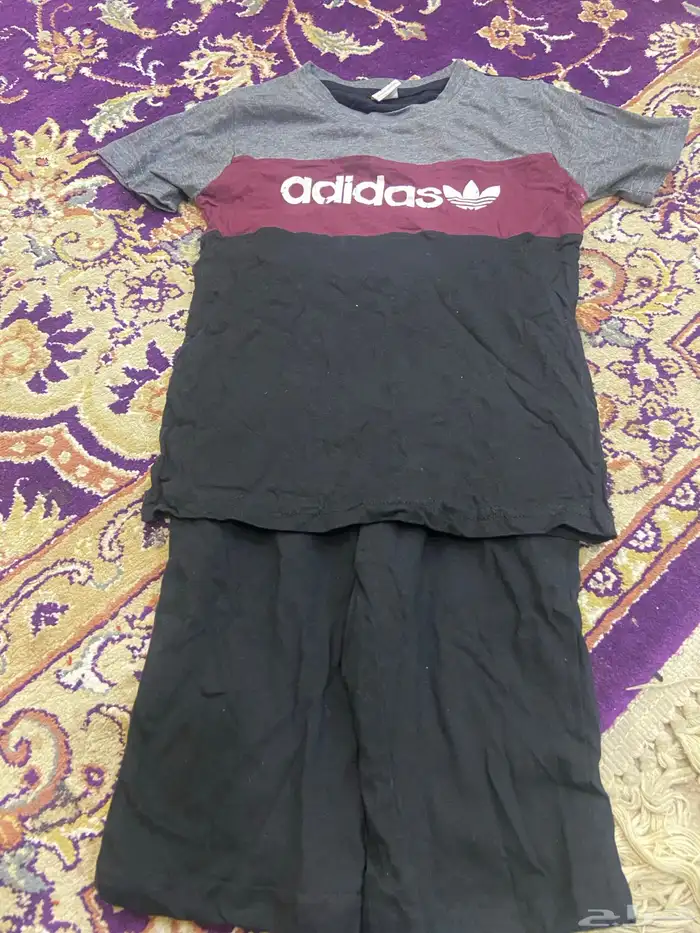 الاحساء 14