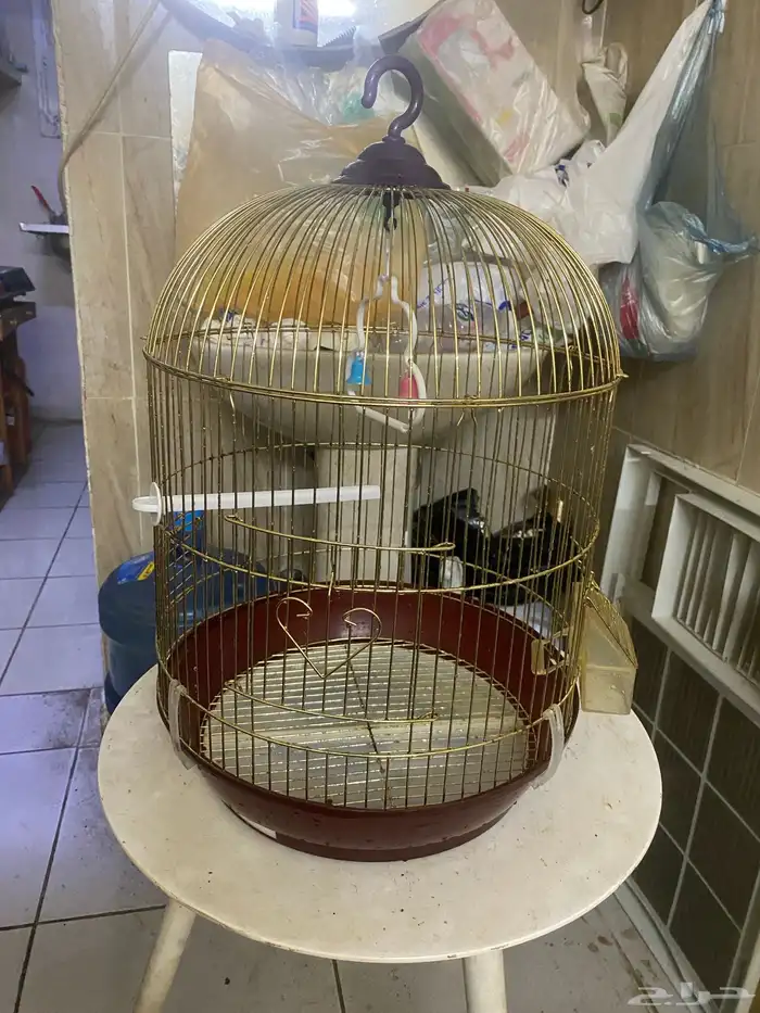 قفص للبيع 3