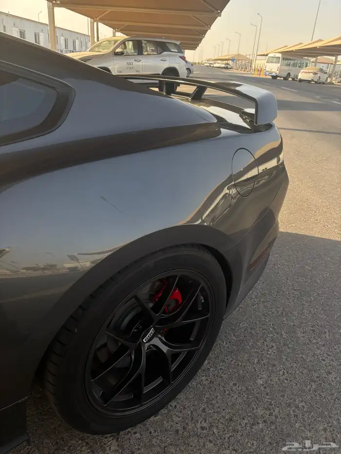 موستنق 2020 GT 6