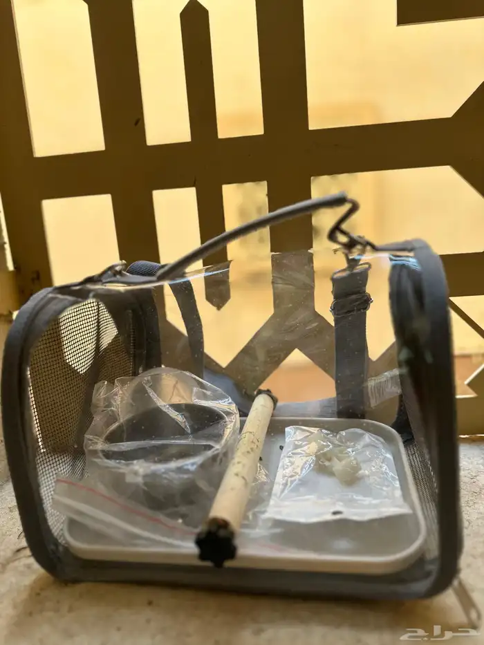 ببغاء روز لون فايليت اخضر مروض مع كامل ملحقاته 5