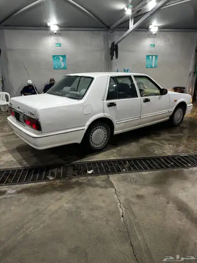 سدرك مديل 99 نظيفه index