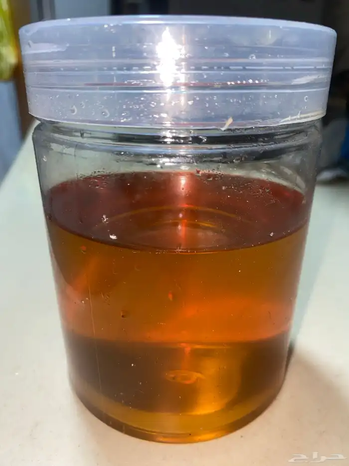 عسل سدر حر طبيعي 0