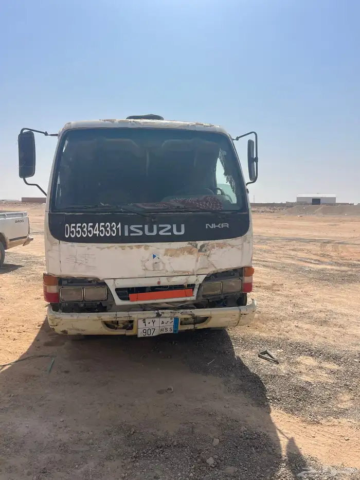 دينا 1