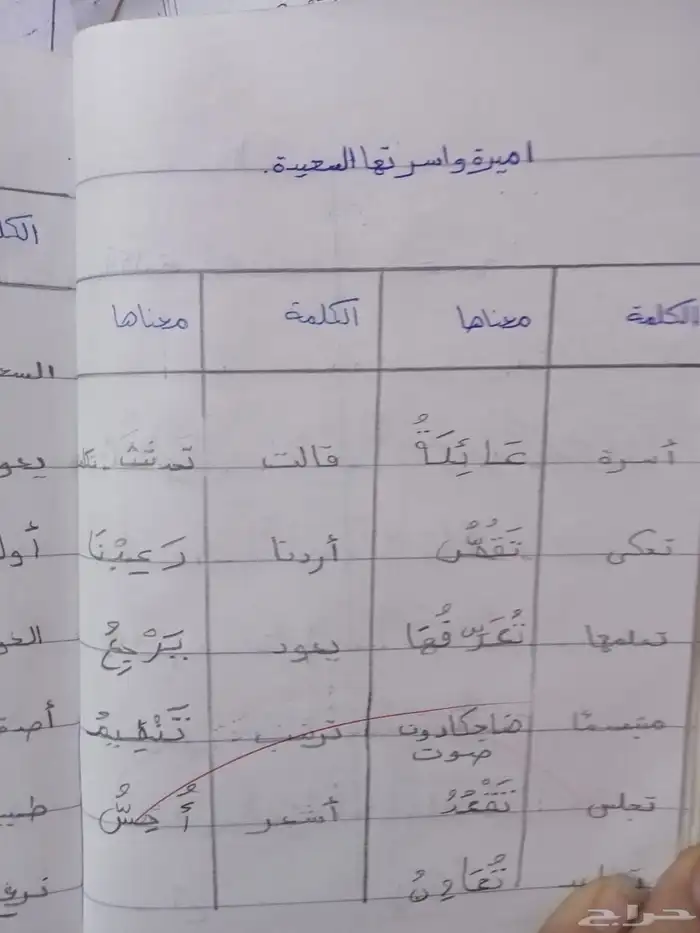 معلمه خصوصيه ف خميس مشيط 11