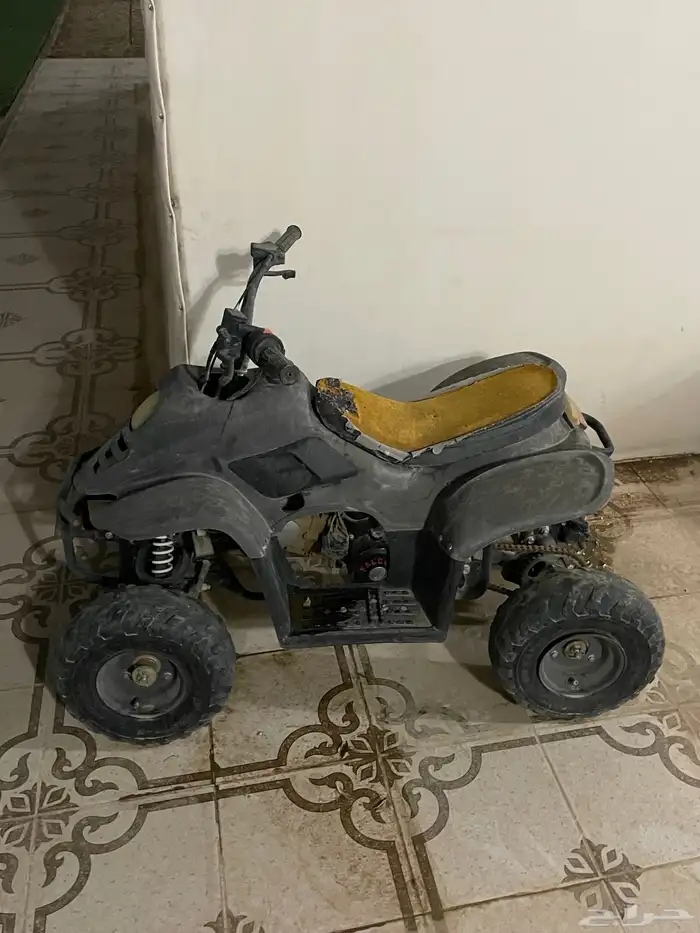 دباب صيني حجم 70 1