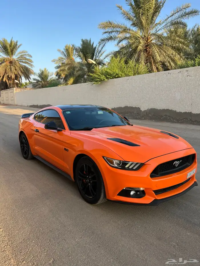 للبيع موستنج GT نظيف جدا 13