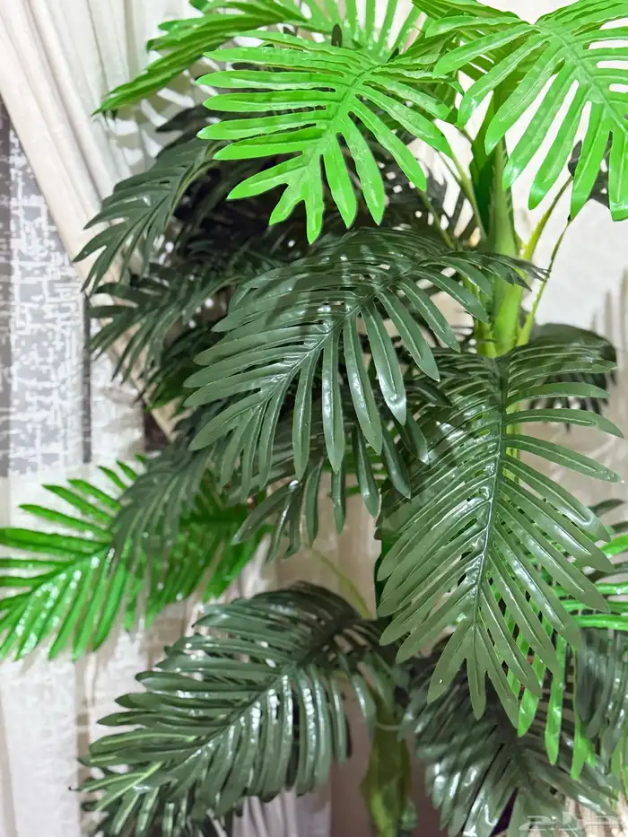 اثاث للبيع سرير اطفال و كنب و ستارة طاولة طعام و طاولة تلفز 5