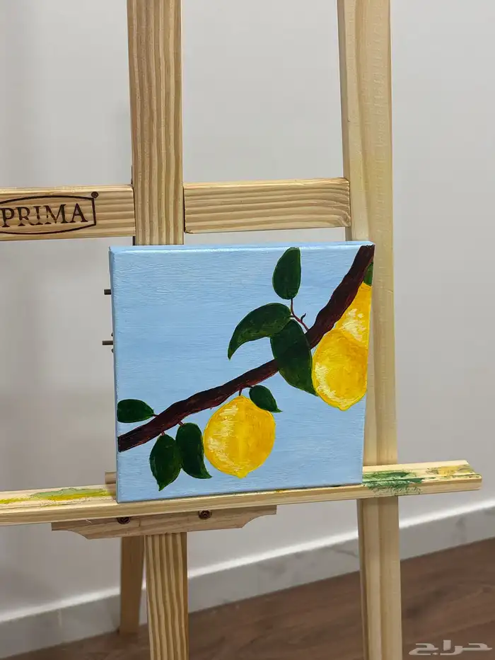 رسمتي بلوحة كانفس صغيره 0