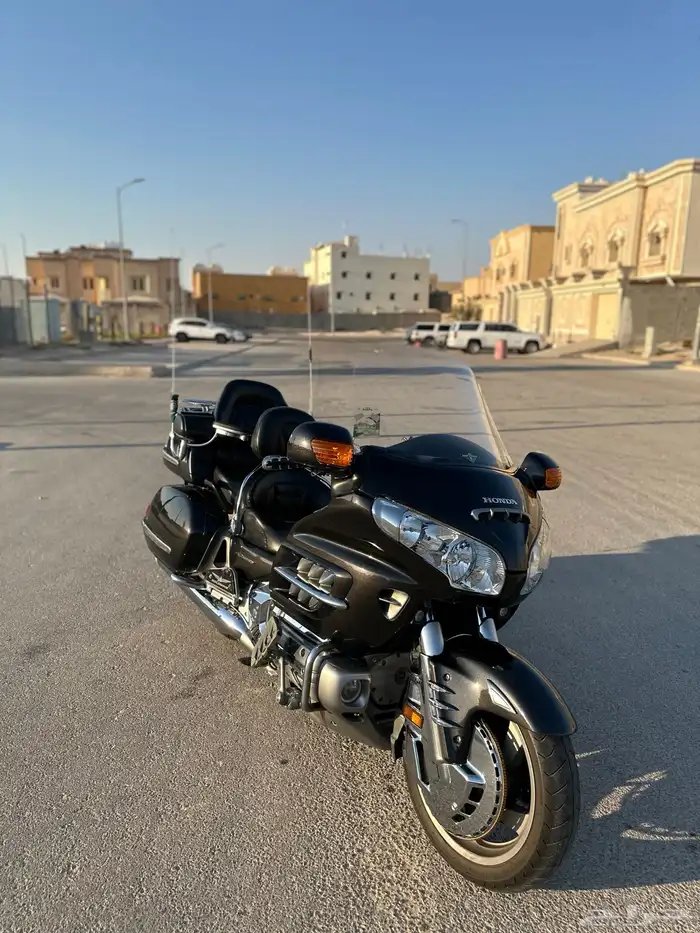 قولد وينق 2010 6