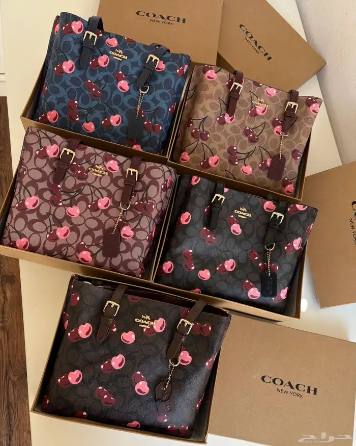 شنط كوتش شنط نسائيه شامل التوصيل ودفع عند الاستلام 1