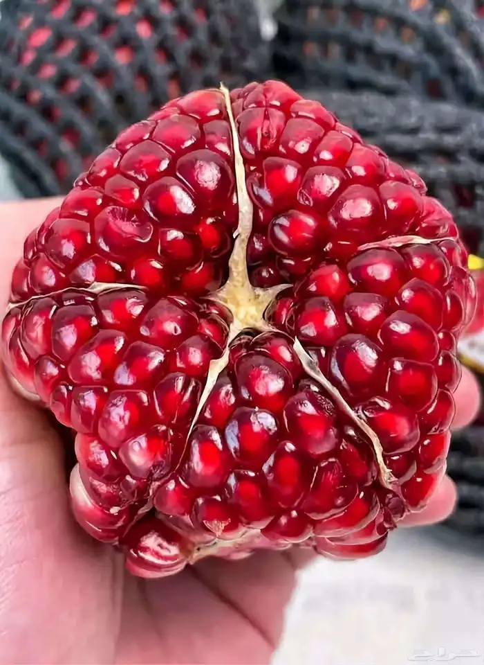 معلم خضار وفواكه خبره كافيه كافيه من إلى 0